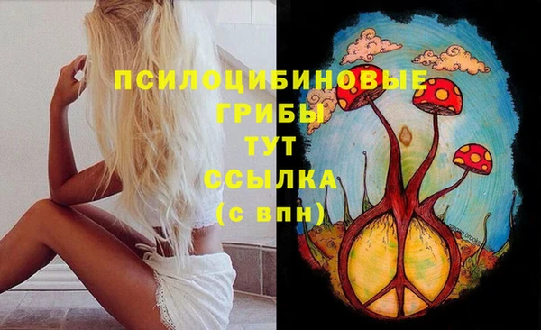 apvp Баксан