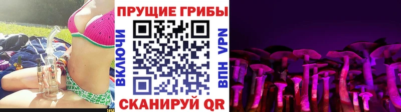 Псилоцибиновые грибы Psilocybine cubensis  кракен онион  Новопавловск  что такое  